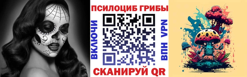 где найти наркотики  маркетплейс какой сайт  Псилоцибиновые грибы Magic Shrooms  Теберда 